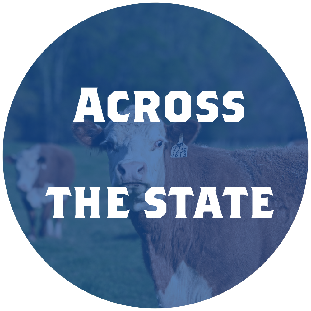 Across the state