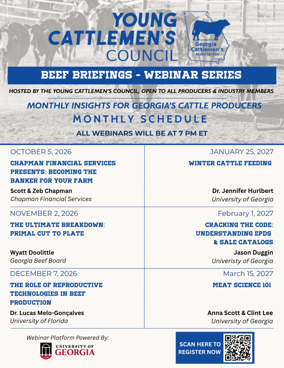 YCC Seminars